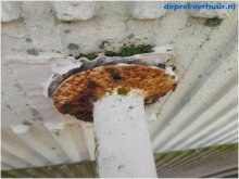 lekkage door verroeste muurankers