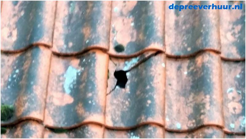 Lekkage door gescheurde dakpan