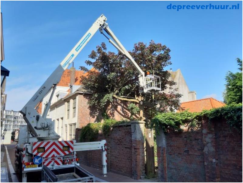 Boom rooien Vlissingen met hoogwerker