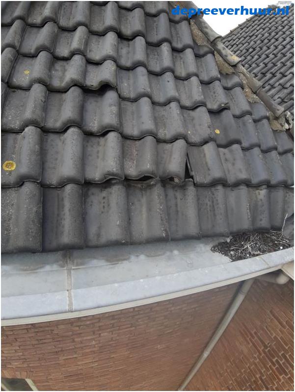 Lekkage door verschoven dakpan