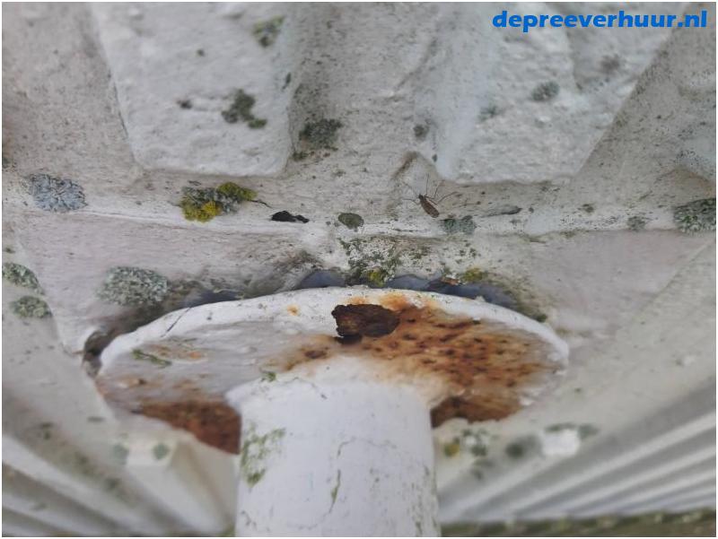 Lekkage door verouderde bevestigingsconstructies