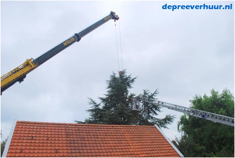 Boom rooien Colijnsplaat
