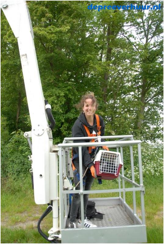 Kat uit de boom met hoogwerker