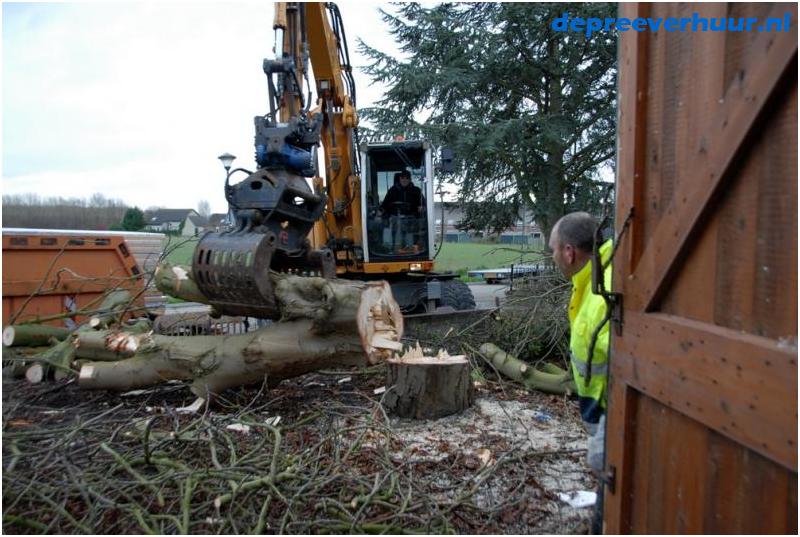 Bomen rooien in Geersdijk
