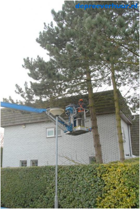 Snoeiwerk Kortgene