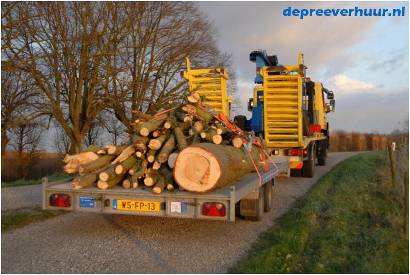 Bomen rooien in Geersdijk