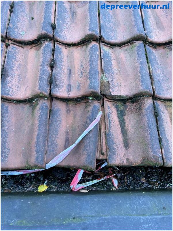 Lekkage door verschoven dakpan