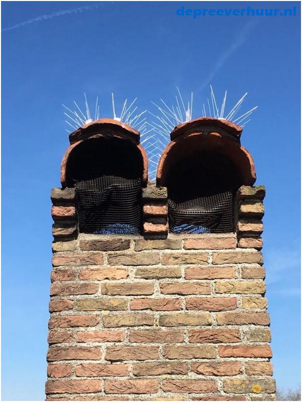 Meeuwenpinnen aanbrengen middelburg