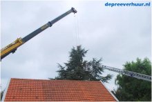 Boom rooien Colijnsplaat