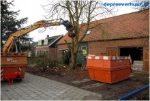 Bomen rooien in Geersdijk