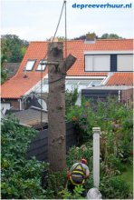 Boom rooien Colijnsplaat