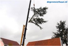 Boom rooien Colijnsplaat