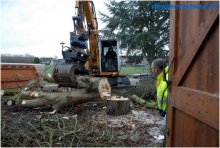 Bomen rooien in Geersdijk