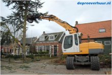 Bomen rooien in Geersdijk