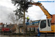 Boom rooien Geersdijk
