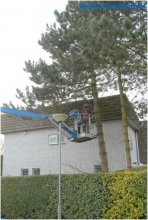 Snoeiwerk Kortgene