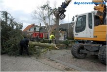 Bomen rooien in Geersdijk