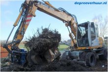Bomen rooien in Geersdijk